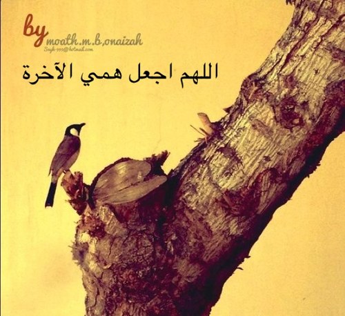 اللهم اجعل همي آخرتي ،،، وأصلح لي نيتي وذريتي . وأسعدنا في الدارين .( ﮼أم،صالح)
