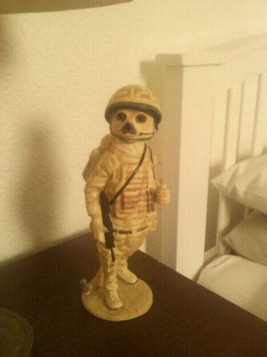 ali_walden's profile picture. 