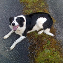 eleanor neff - @eleanorneff - Twitter