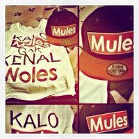 Mules_ (@mulesthread) 's Twitter Profile