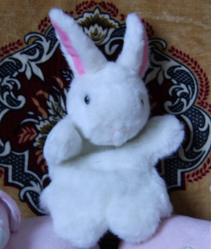 shiyeca's profile picture. 