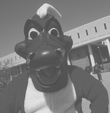 ostateregistrar's profile picture. SUNY Oneonta Registrar's Office