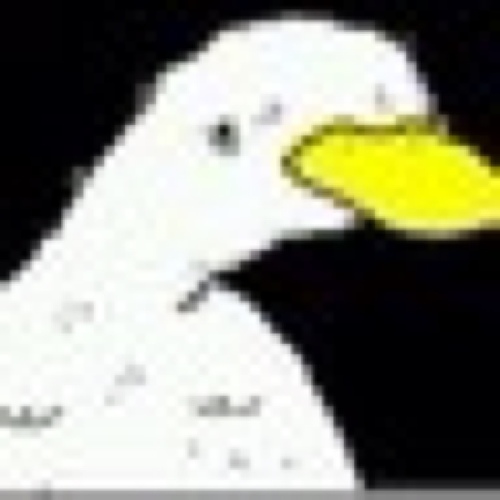 alfakduk's profile picture. Fak u. I purveid teh best insurnce. Not afilyated wit aflac