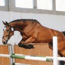 Gemma Escobar - @gem_happy - Twitter