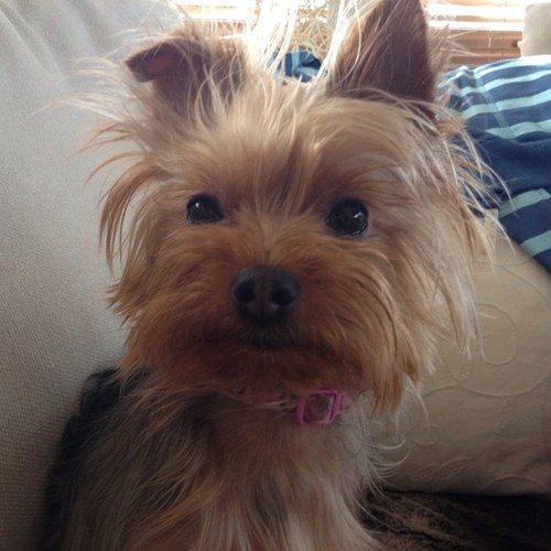 avimac63's profile picture. 