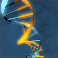 HudForensics (@hudforensics) 's Twitter Profile