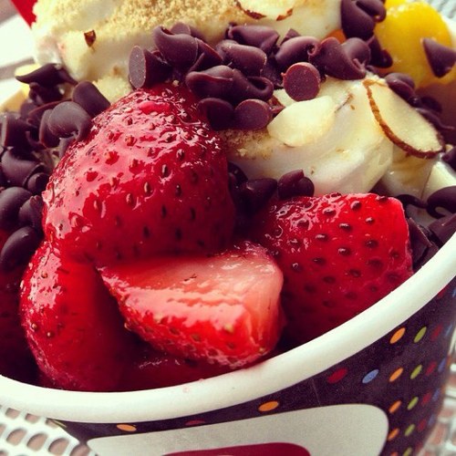 All natural frozen yogurt with one of the most effective probiotics out there. We were the first FroYo shop designated with Live & Active Cultures by the NYA.