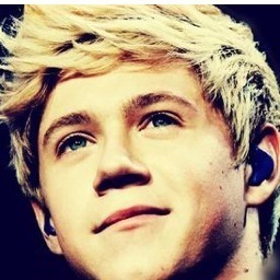 NiallsFactfile's profile picture. @niallofficial The fans always tell me I'm beautiful, but knowone will ever be as beautiful as them.