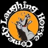 lhcomedy's profile picture. The Official Twitter of Laughing Horse Comedy Clubs. Follow for information on gigs, special offers for twitter, comedy gossip and general comedy chat