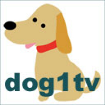 ドッグワン　テレビ