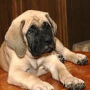 BENJAMIN SOLIZ - @ABSG78 - Twitter