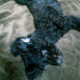 hhayato1986's profile picture. イギリスの大学を卒業後、
トップアフィリエイターの修行を受け独立。
留学アドバイサリー/マーケティング/アフィリ/facebookブランディング