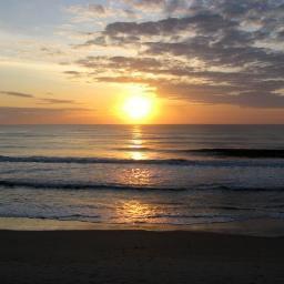 richmondw's profile picture. Went for distinguished and ended up with eccentric.