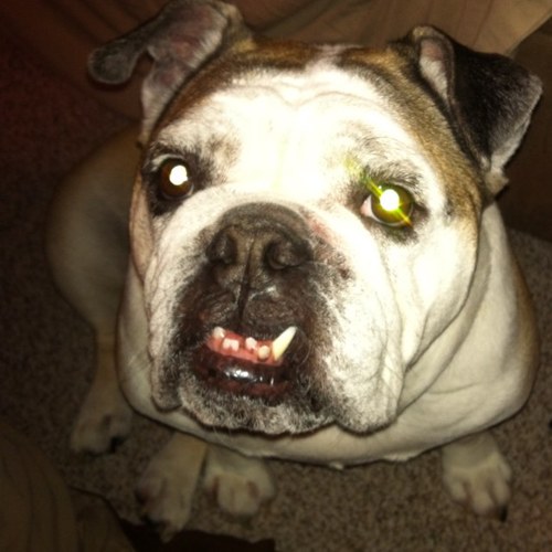 jls0508's profile picture. 