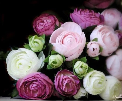 enaamesta's profile picture. 