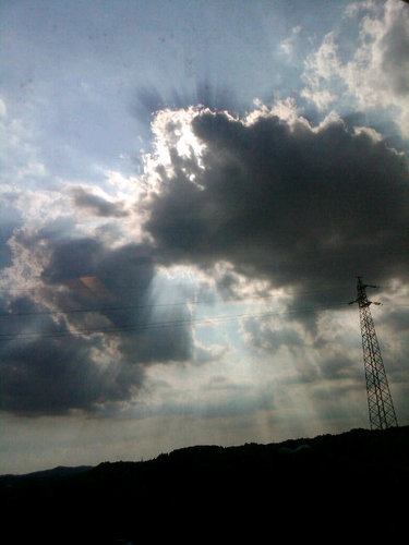 pieroerle's profile picture. 