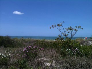 BeachHeidi's profile picture. #FreeRickAllen