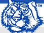 bluetigers207's profile picture. Blue Tigers restore civic engagement, neighborhood involvement of local Democratic organizations, and support participation in the political process.