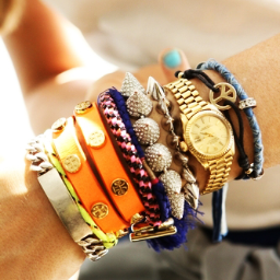 MeshA664's profile picture. 