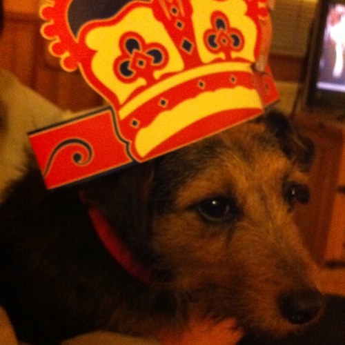 Theperambulator's profile picture. 