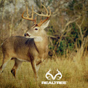 kalin black - @camoredneck12 - Twitter