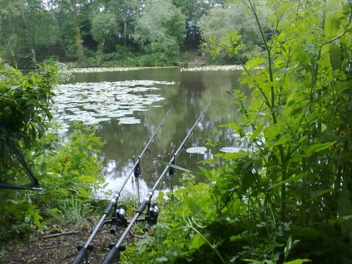 Out Fishing Helped By  Spotted Fin, Deeper Sonar, Evolution Carp Tackle and Scruffys leads. Plse Visit my website https://t.co/3gVTnLjTM5