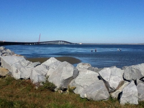 masiur7's profile picture. Ica - Peru