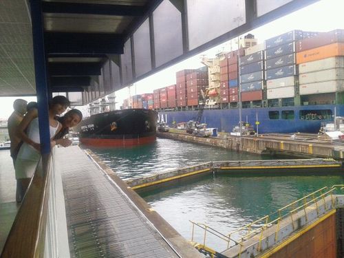 cfgranja's profile picture. 