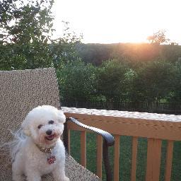 micmank's profile picture. 