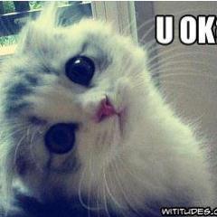 pinklove22221's profile picture. WWE Wrestling Fan and Impact Wrestling Fan