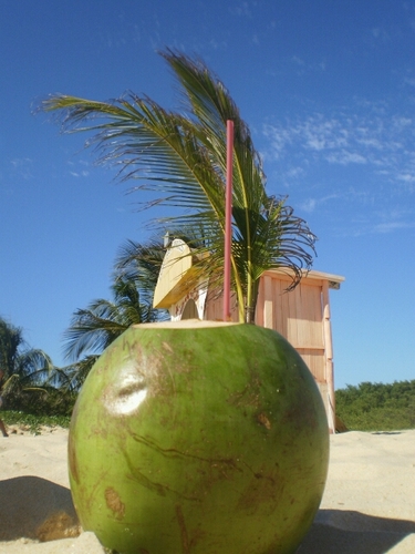 Pity1119's profile picture. Fana de River. Socialdemócrata.
Women's rights are human rights.
Pro choice. Separación Iglesia del Estado ya! Los libertarios me la soban.