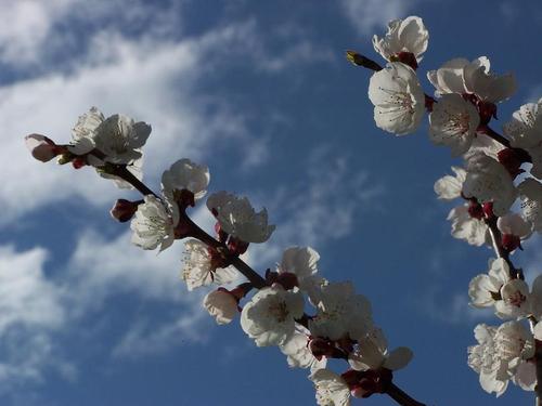 CKV336's profile picture. 