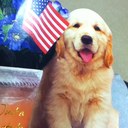 james auxier - @tazmanniandevil - Twitter