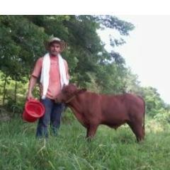 Esp. Gerencia Estratégica de Mercados. Dipl. Evaluacion y Formulacion de proyectos. Prof. Zootecnista. Trasferencia de Embriones Bovinos e Inseminacion.
