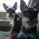 Bill Atherton - @bill_atherton - Twitter