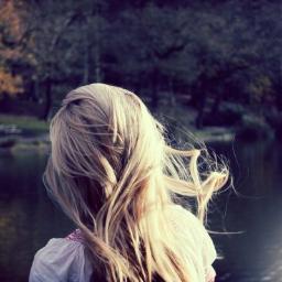 I ALWAYS FOLLOW BACK