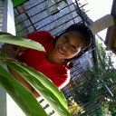 amelia campos - @amescampos - Twitter