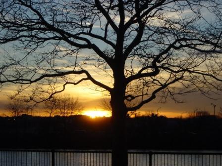 westouteast's profile picture. 