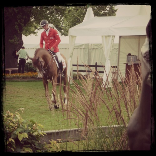 Aure_Co's profile picture. Horses & breeding - Equestrian medias #horsebreeding #equestrian #medias #l'eperon #harasdelafleuriere