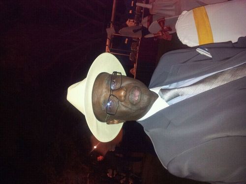 Special Adviser to the National Organising Committee of the 9th World Water Forum.