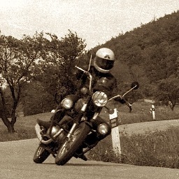 SedLoquitur's profile picture. 