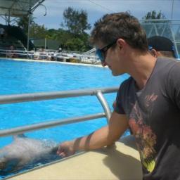 Paulbegum's profile picture. Traveling