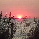 Liz Reeves - @LizReeves67 - Twitter