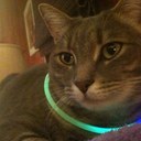 Brian Noell - @bnoells - Twitter