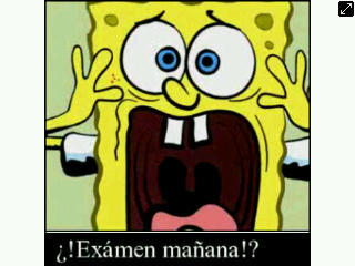 TQM. SIGUEME Y TE SIGO