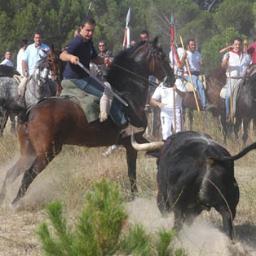 vividor, soñador, apasionado del mundo del caballo, toros, cante flamenco y mujeres........
