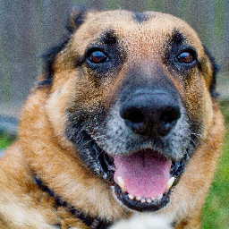 DHH2010's profile picture. Auburn Engineer, Classical liberalism, Amateur Photographer, Retired, Married
Love Auburn sports, Dallas Cowboys and Houston Astros