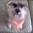 Perro_Toulouse's profile image