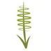 Pineview Plants (@colinmoat1) Twitter profile photo Pineview Plants (@colinmoat1) Twitter profile photo
