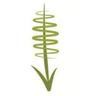 ColinMoat1's profile picture. Pineview Plant Nursery is now closed , mainly on @colinpineview.bsky.social  perennial enthusiast, and long suffering Spurs fan https://t.co/gbA0ye0E4A